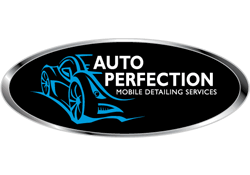 Auto Perfection Detailing - logo